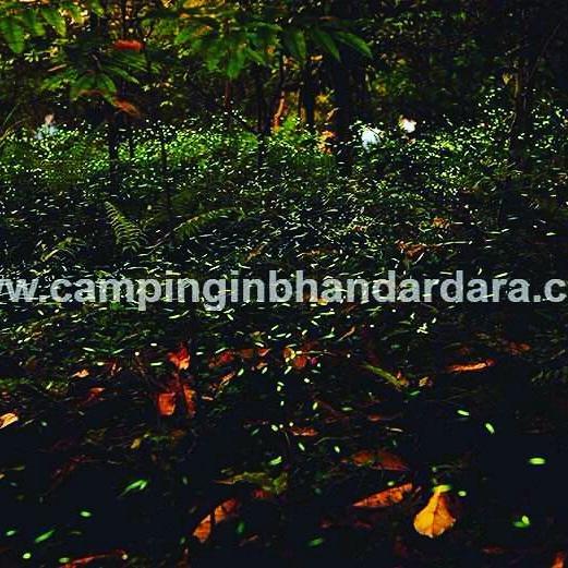 Hotel Samadhan Bhandardara Exterior photo